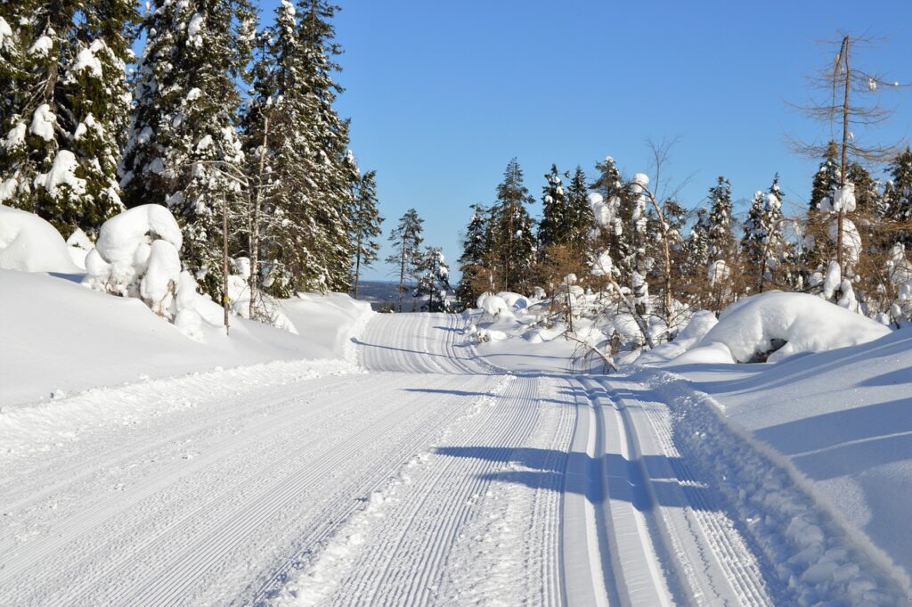 Luontoretkeily Kolilla